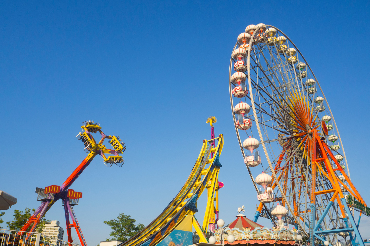 Amusement Park